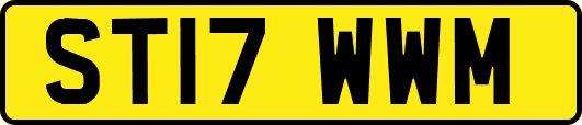 ST17WWM