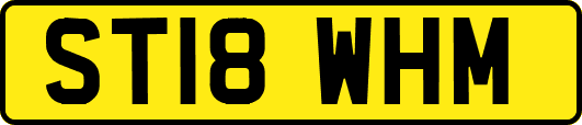 ST18WHM
