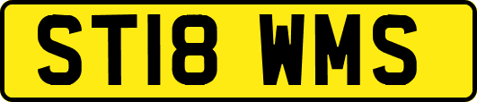 ST18WMS