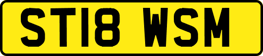 ST18WSM