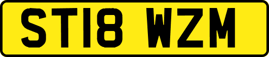 ST18WZM