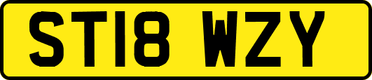 ST18WZY