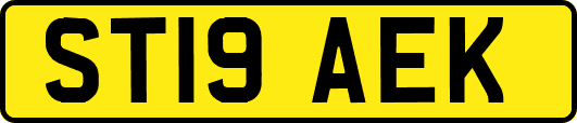 ST19AEK