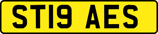 ST19AES