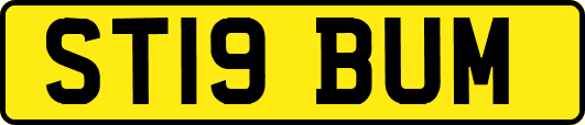 ST19BUM
