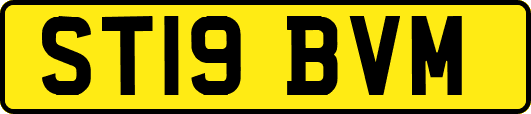 ST19BVM