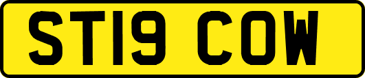 ST19COW