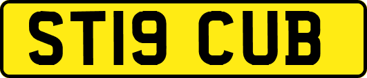 ST19CUB