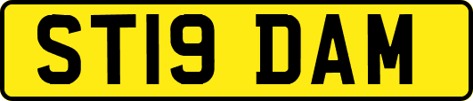 ST19DAM