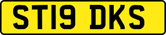 ST19DKS