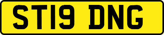 ST19DNG