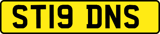 ST19DNS