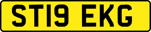 ST19EKG