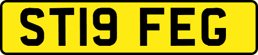 ST19FEG