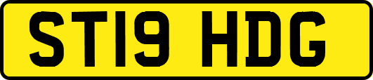 ST19HDG
