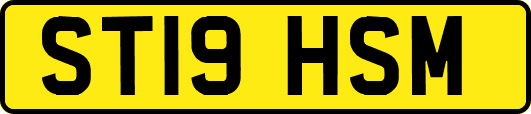 ST19HSM