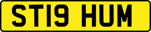 ST19HUM