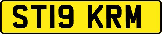 ST19KRM