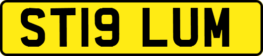 ST19LUM