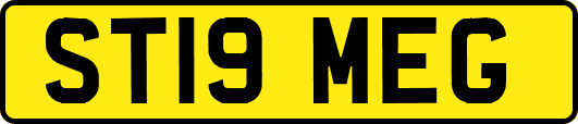 ST19MEG