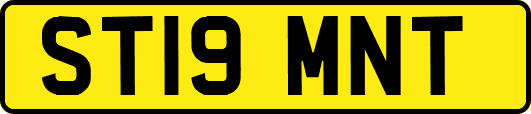 ST19MNT