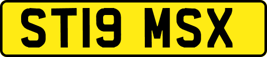 ST19MSX