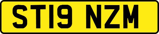 ST19NZM