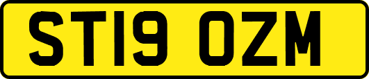 ST19OZM