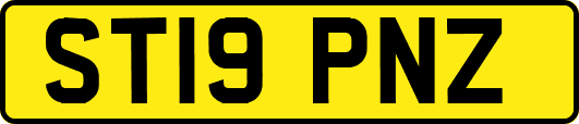 ST19PNZ
