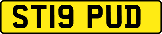 ST19PUD