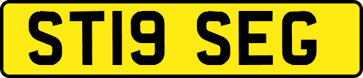 ST19SEG