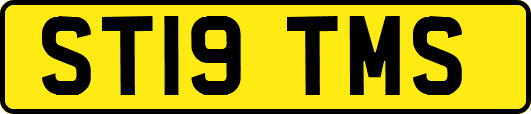 ST19TMS