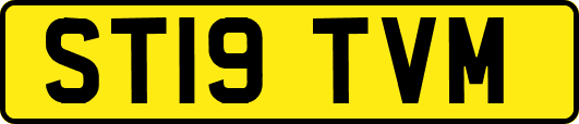 ST19TVM