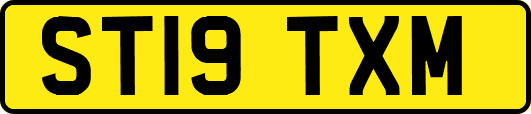 ST19TXM