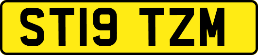 ST19TZM