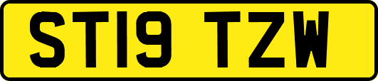 ST19TZW