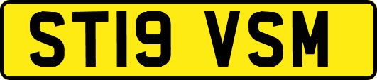 ST19VSM