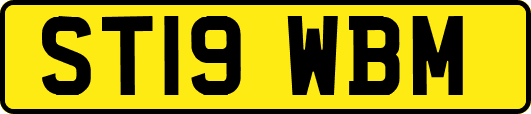 ST19WBM