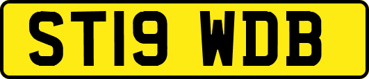 ST19WDB