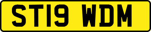 ST19WDM