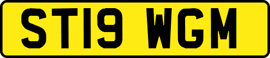 ST19WGM