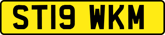 ST19WKM
