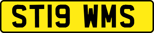 ST19WMS