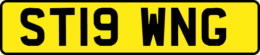 ST19WNG