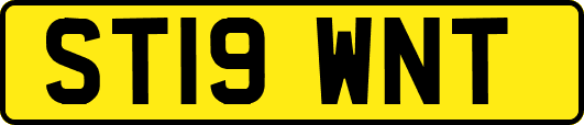 ST19WNT