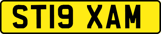 ST19XAM