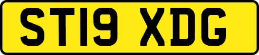 ST19XDG