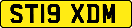 ST19XDM
