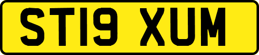 ST19XUM