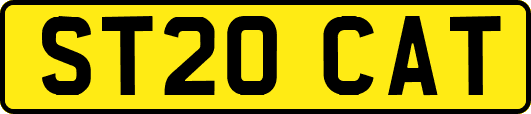 ST20CAT